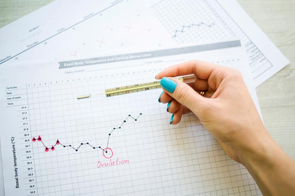 Person tracking menstrual cycle with graph and thermometer 