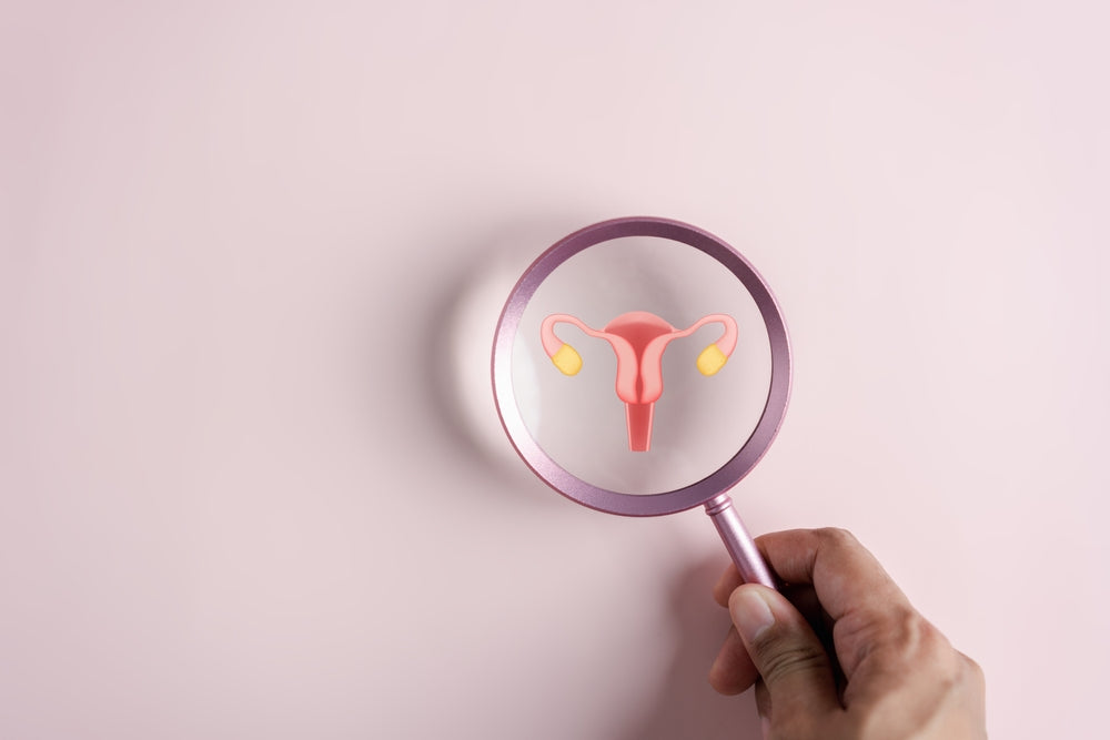 Magnifying glass Examining At Ovaries