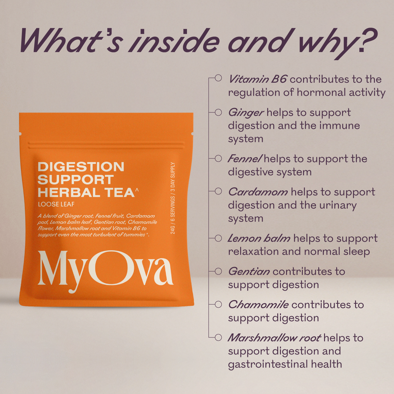 Digestive Support Botanical Tea Sample Size